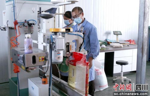 自動化設備賦能 廣元朝天企業如何借力提升產能搶占市場先機